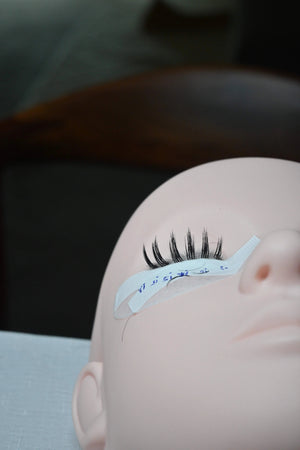 Anime Mastery: 2 Days In-Person Advanced Lash Training Akinolashes